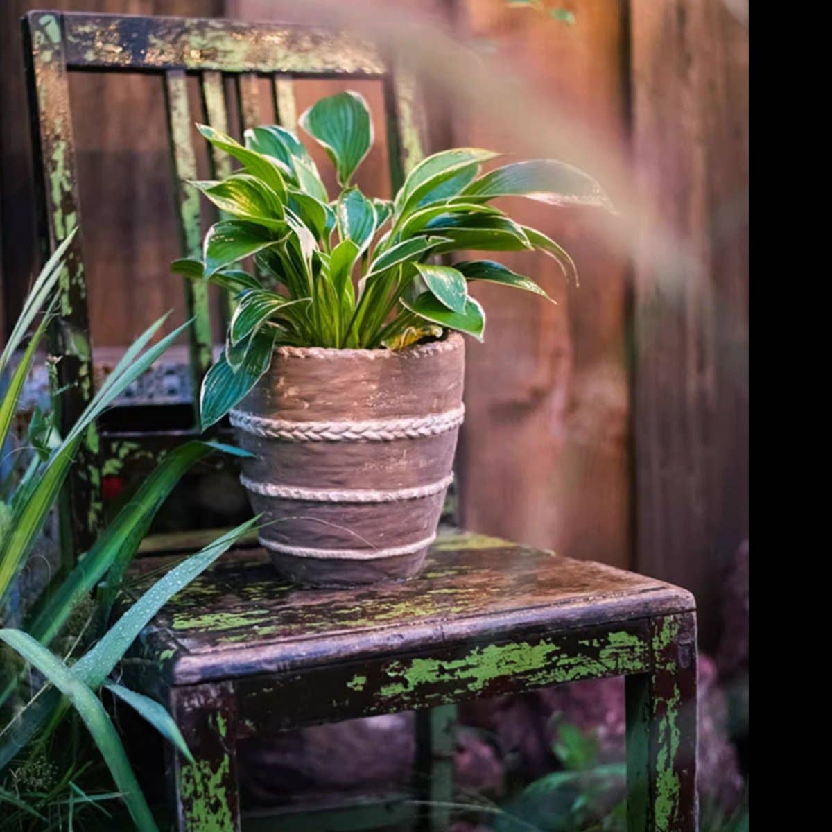 Rustic Reach - Vente Pot - Jardinière en terre cuite rouge Tasha8