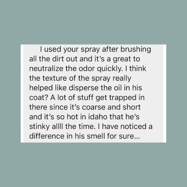 Clean Coats - Wholesale Pet Spray - Dog - Dog Conditioning Spray & Deodorizer 2 in 1 For Smelly Dogs3