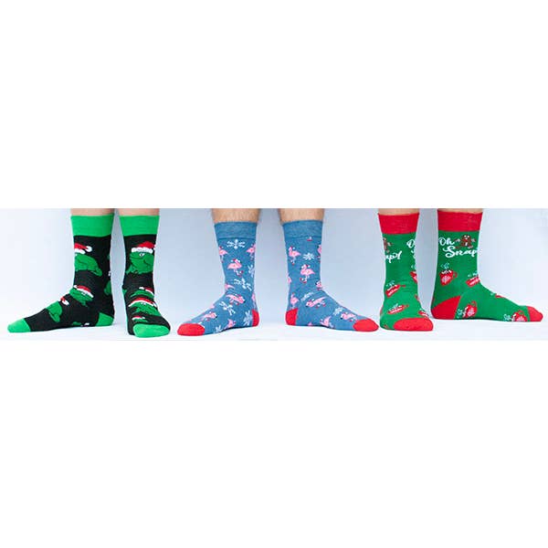 Wintertime for wholesale by Sock Cellar