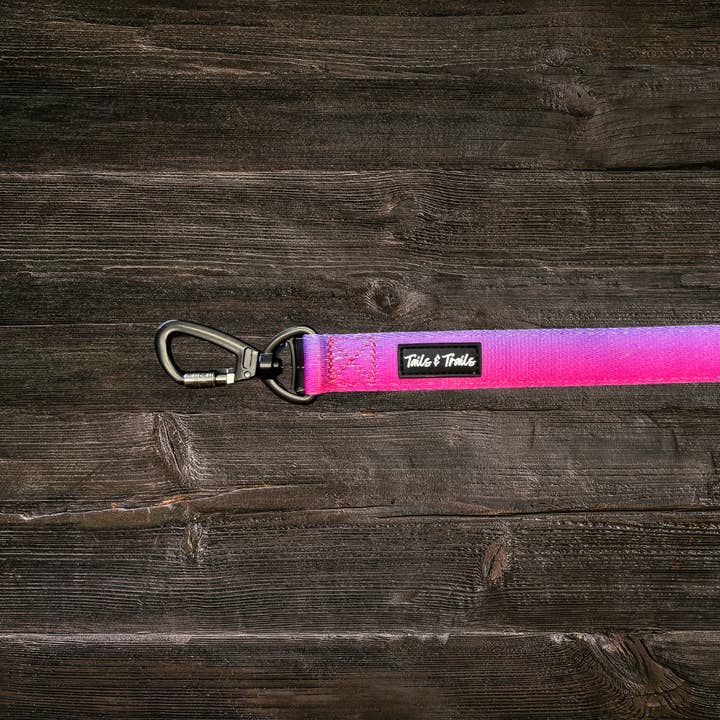 Tails and Trails - Wholesale Pet Leash - Dog - Double Handle Sunrise Trail Leash1