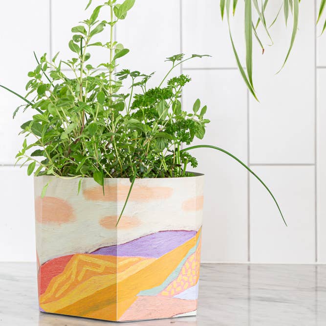 Sow 'n Sow - Wholesale Plant Pot - Pop Up Pot 'Clouds' Large