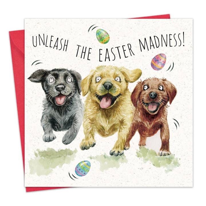 Divertente Cartolina di Pasqua - Cani Labrador per la vendita all'ingrosso da parte di Twizler Ltd