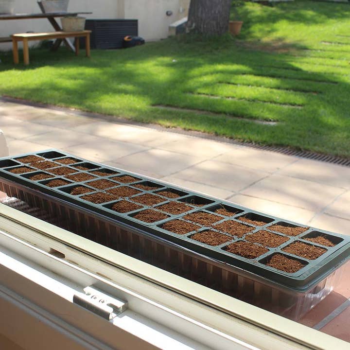 JARDIN Y NATURA OUTDOOR & GARDEN PRODUCTS SL - Wholesale Planting/Potting Soil - 36-cell seedbed with cover - SPOROWINDOWS 36