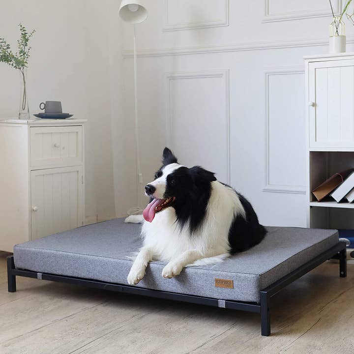 Kopeks – Großhandel Haustierbett – Hund – Erhöhtes Hundebett mit orthopädischer Schaummatratze