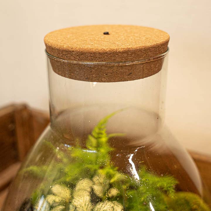 Trendhero.nl/b2b - Wholesale Decorative Tabletop Object - Cork with led - Terrarium cork with light - 3 sizes available5