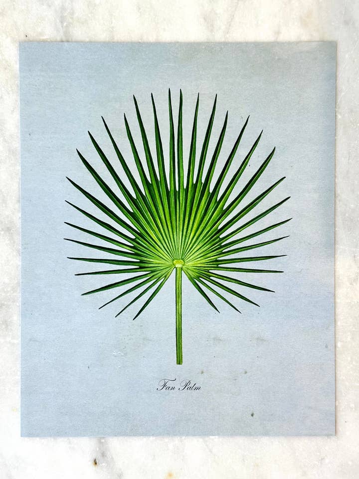Fan Palm on Blue Print for wholesale by Gilded Palms