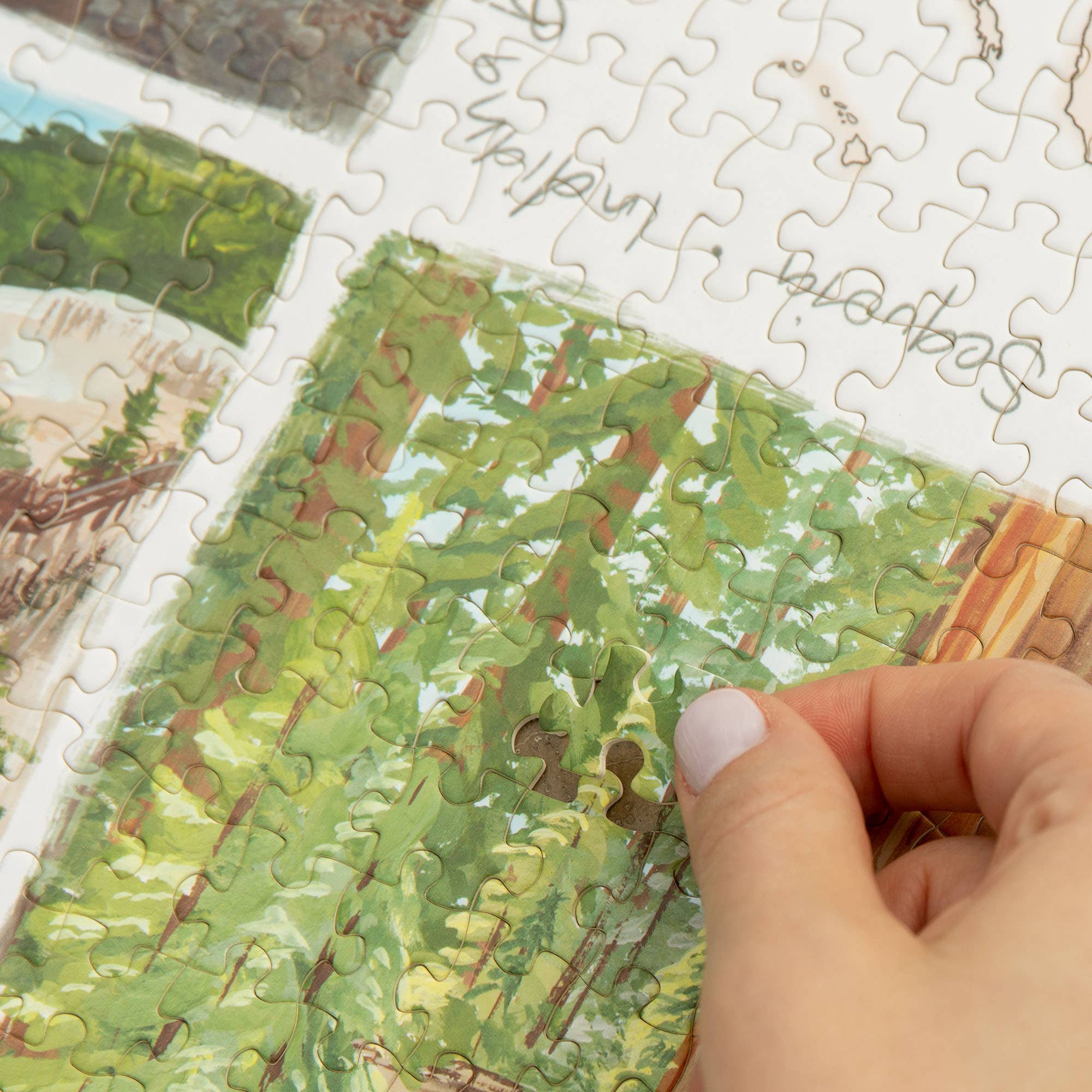 1canoe2 | One Canoe Two Paper Co. - Wholesale Puzzle - Adult - National Parks - 1,000 Piece Jigsaw Puzzle7