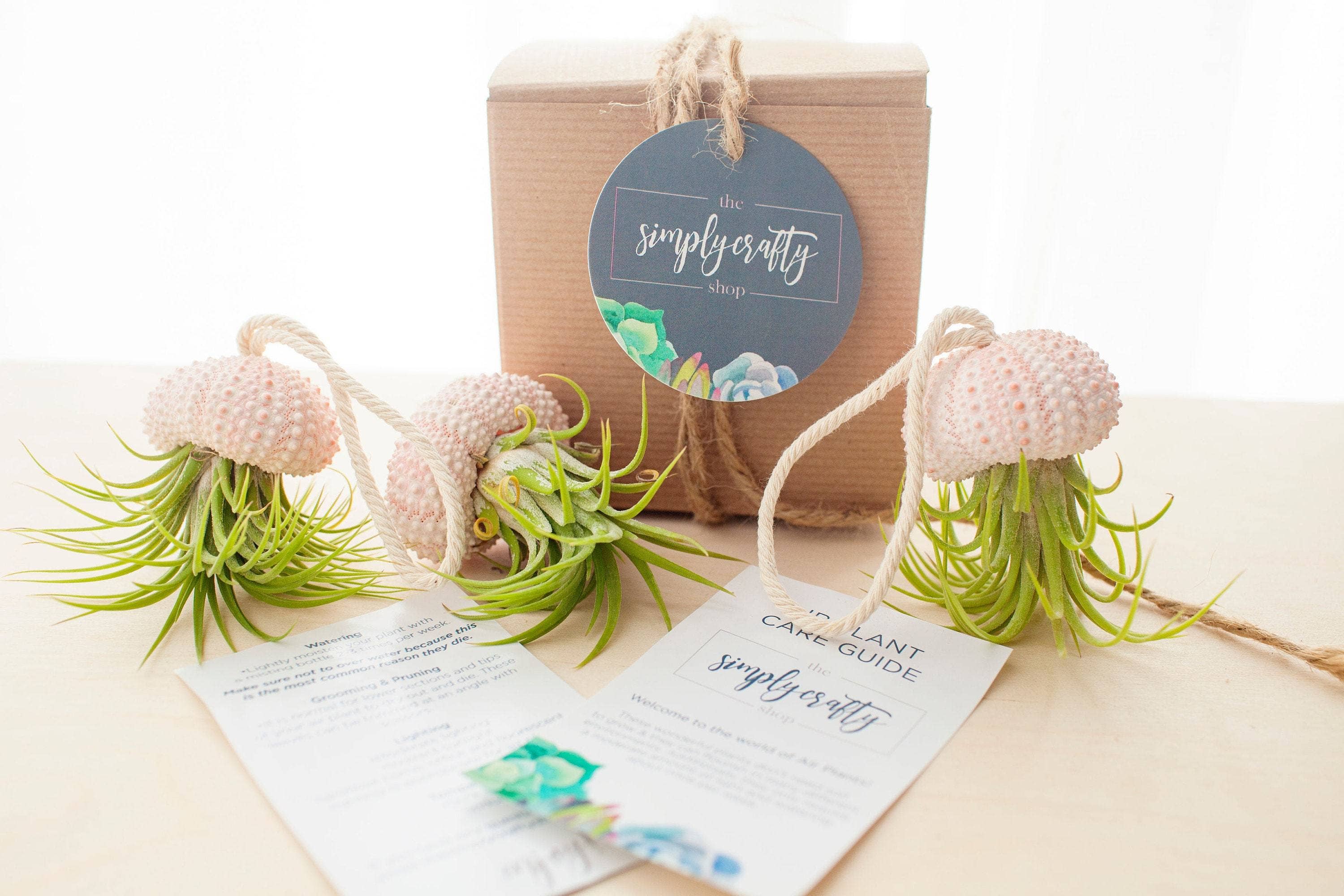 The Simply Crafty Shop - Wholesale Live Plant - Air Plant Jelly Fish on Rope3