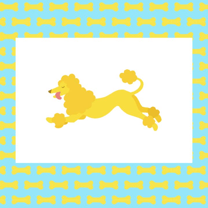 Koningspoedel honden mapa por atacado de pup store "no giftshop for pussies"