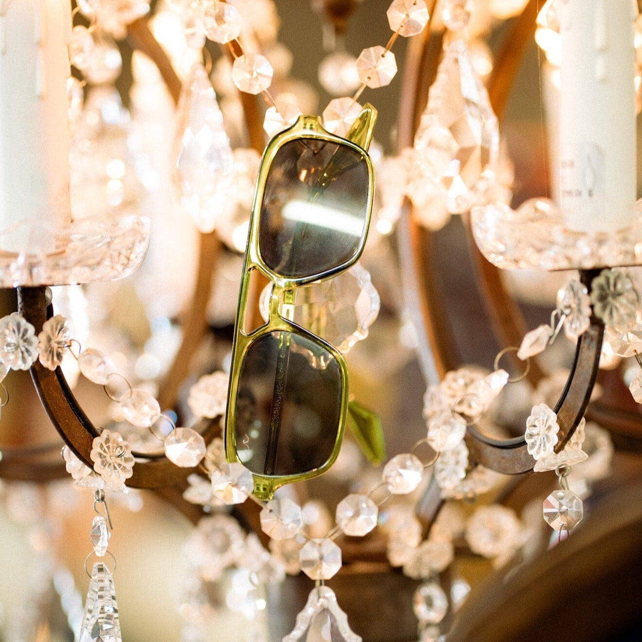 Wavey | Sunglasses - Wholesale Sunglasses - Unisex - Yucca Tree7