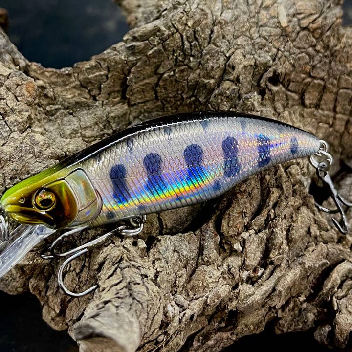 Cod Pro Shop - Wholesale Sporting Accessories - Dartmouth Divers 64mm