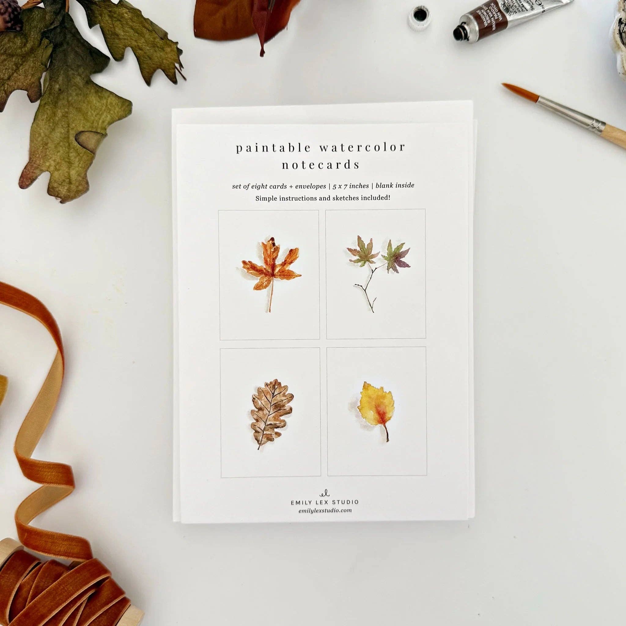 emily lex studio - Wholesale Stationery/Notecard Set - fall leaves paintable watercolor notecard set0
