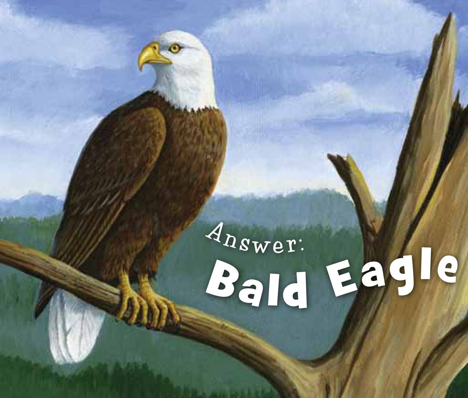 Sleeping Bear Press - Vente Livre – enfant - Petit livre cartonné du Wisconsin4