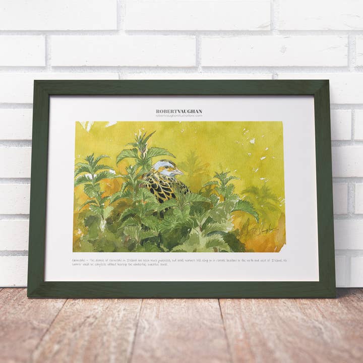 Signierter Druck Corncrake - Nettles für den Großhandel von diademadisara