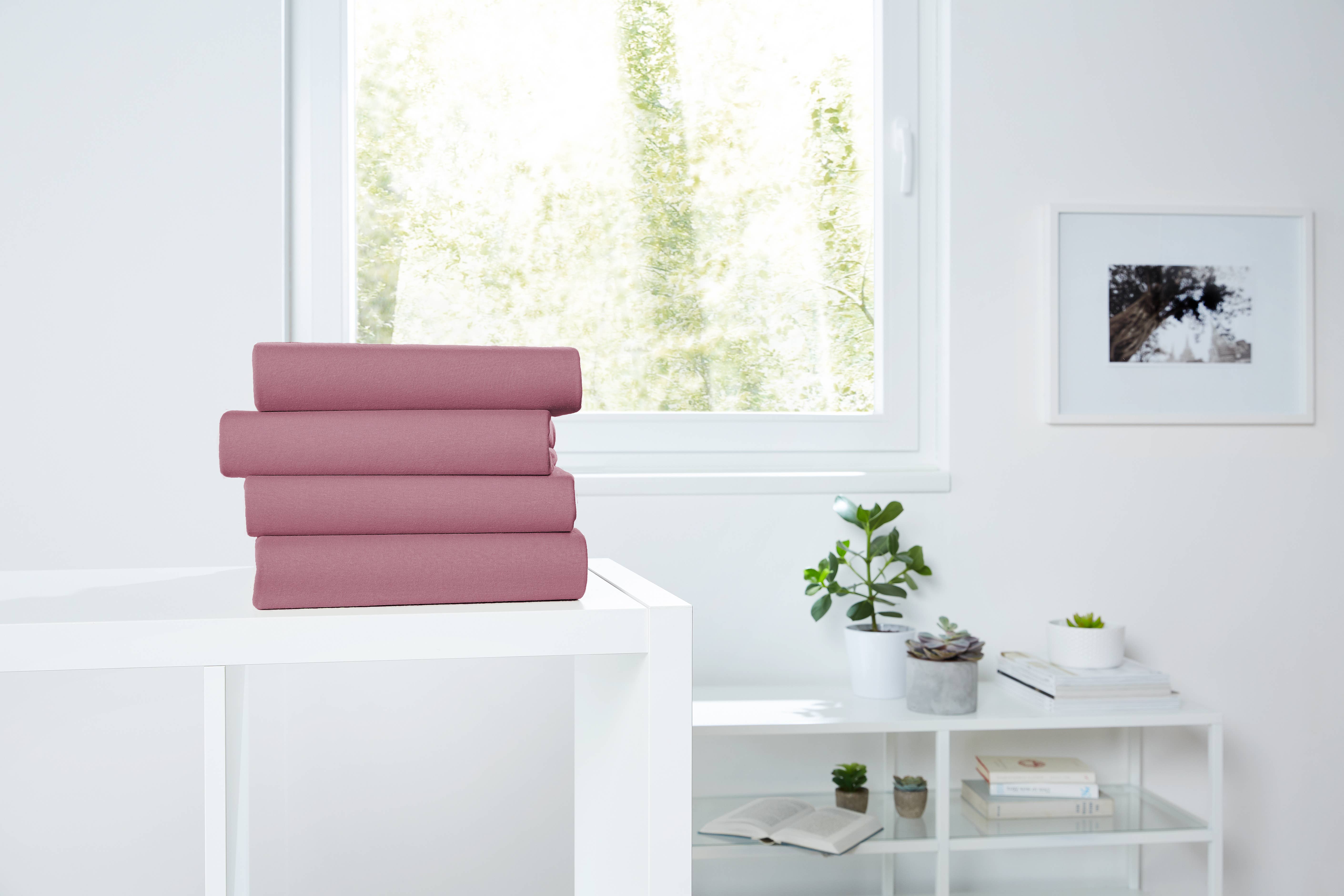 PRIMERA - Vendita all&#x27;ingrosso Lenzuoli con angoli - Lenzuolo in jersey Primera1