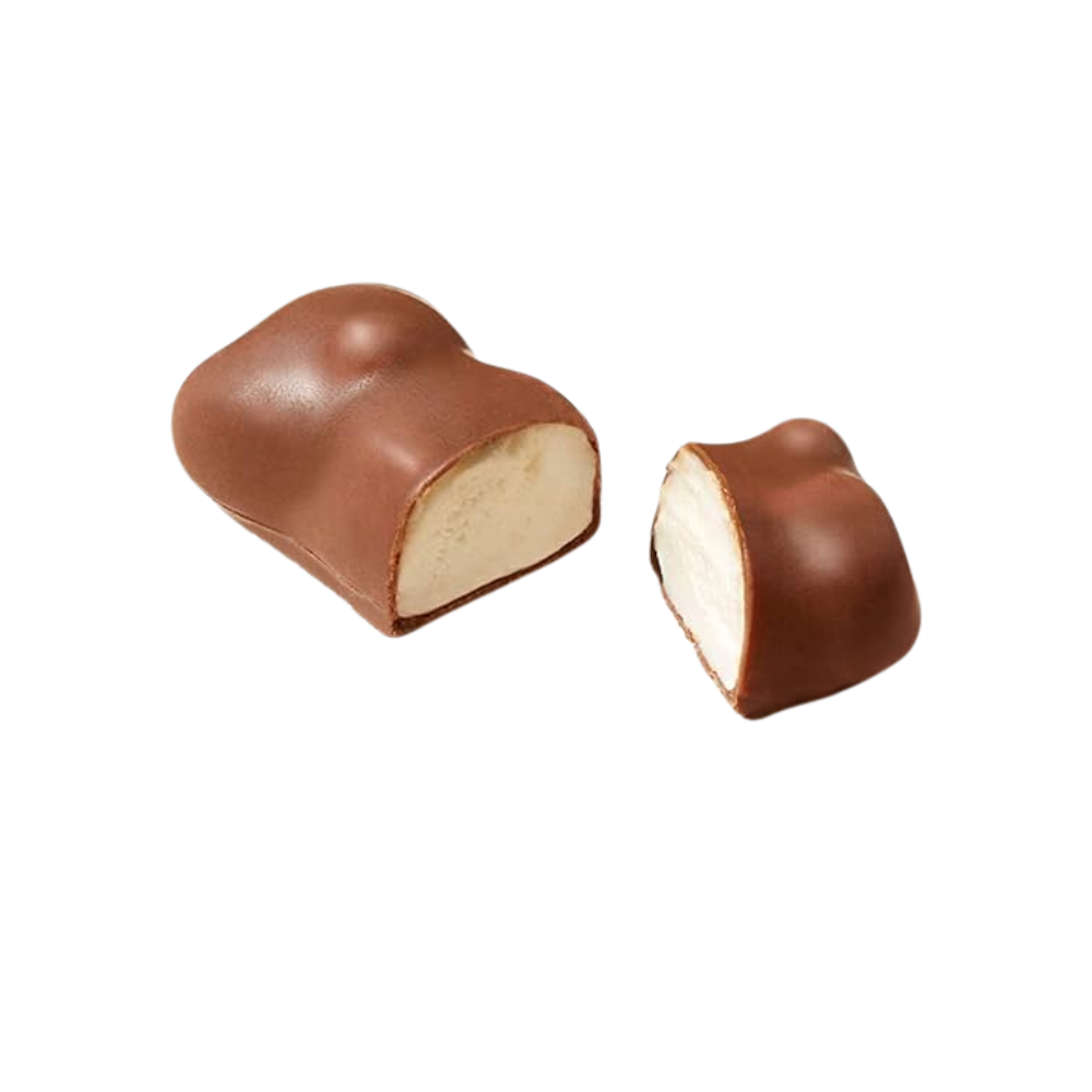 123bonbon - Wholesale Chocolate Covered Sweets - CEMOI Mini Marshmallow Bears Milk Chocolate 2
