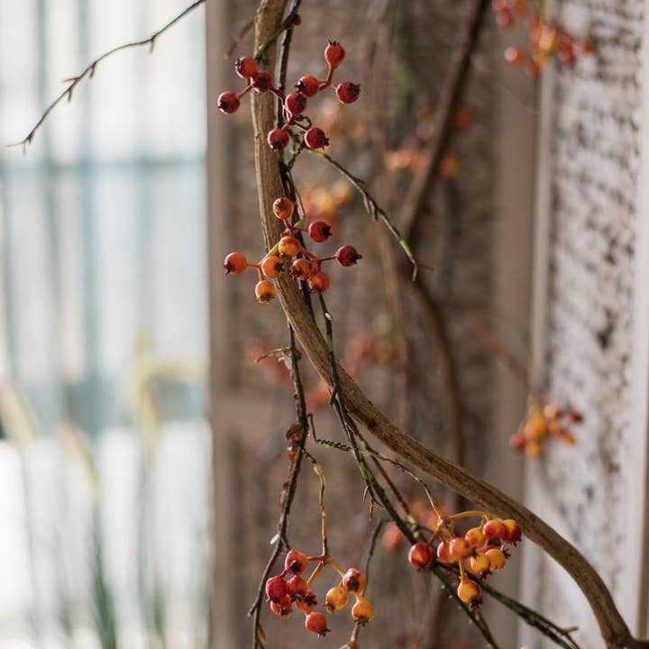 Rustic Reach - Wholesale Artificial Plant - Artificial Vine Orange Berry Vine 39" Long7