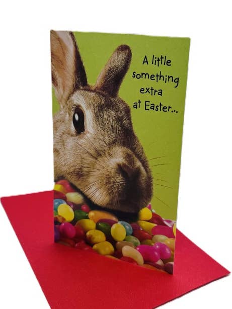 Easter Moneyholder Card for Anyone TDE07327538W$ for wholesale by DICKENS INC.
