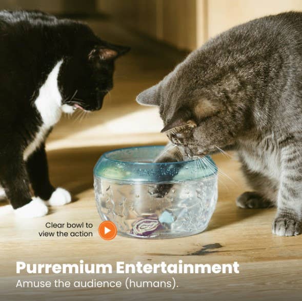 Pet Palette Distribution - Wholesale Pet Toy - Cat - Catstages Meow-Smerizing Fish Bowl Cat Toy Blue3