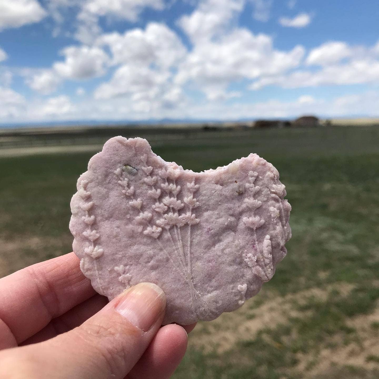 Sweet Rolling Pins - Vente Rouleau à pâtisserie - Rouleau à pâtisserie embossé fleurs de lavande - Pâtisserie & Poterie2
