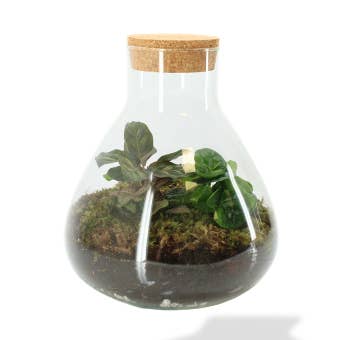 Erlenmeyer M Classic - h26 d24 cm for engroshandel hos The Living Elements