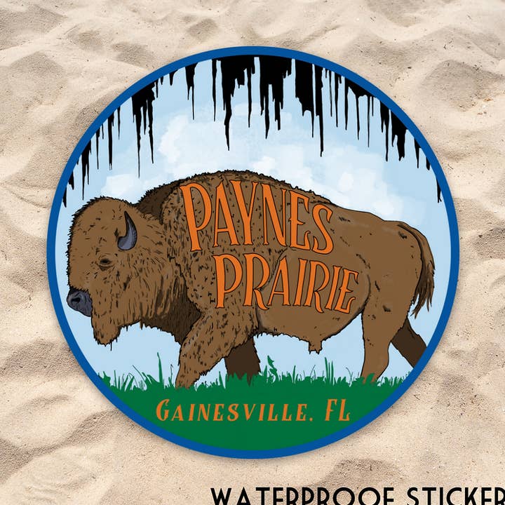 Paynes Prairie Buffalo Sticker for wholesale by Old Florida Vibes
