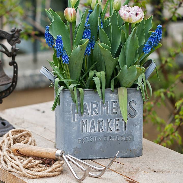 Rustic Reach - Wholesale Plant Pot - Rectangular Flower Pot Gray Farmers Market