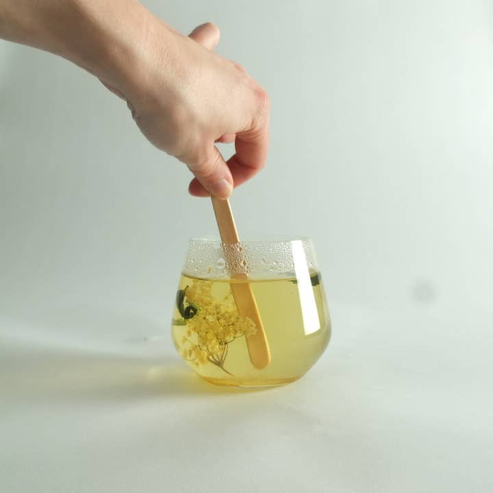 Fleurs d'hiver - Wholesale Loose Tea - Infusion lolly - Elderflower & Mint4