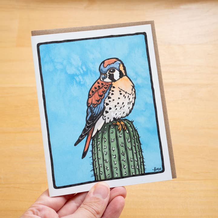 American Kestrel Greeting Card 100% Recycled Paper for wholesale by Laurel Mundy Illustration