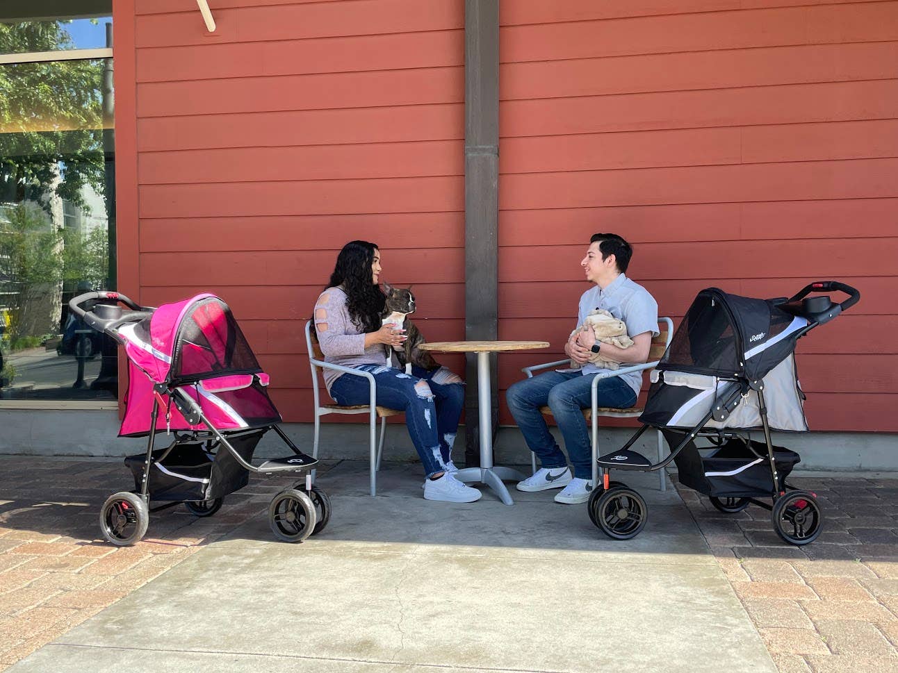 Petique - Wholesale Pet Carrier - Cat/Dog - Revolutionary Pet Stroller21