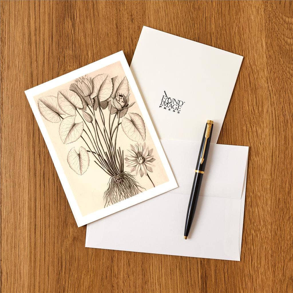 Found Image Press - Wholesale Stationery/Notecard Set - Greeting Card PL-17 Water Lily1