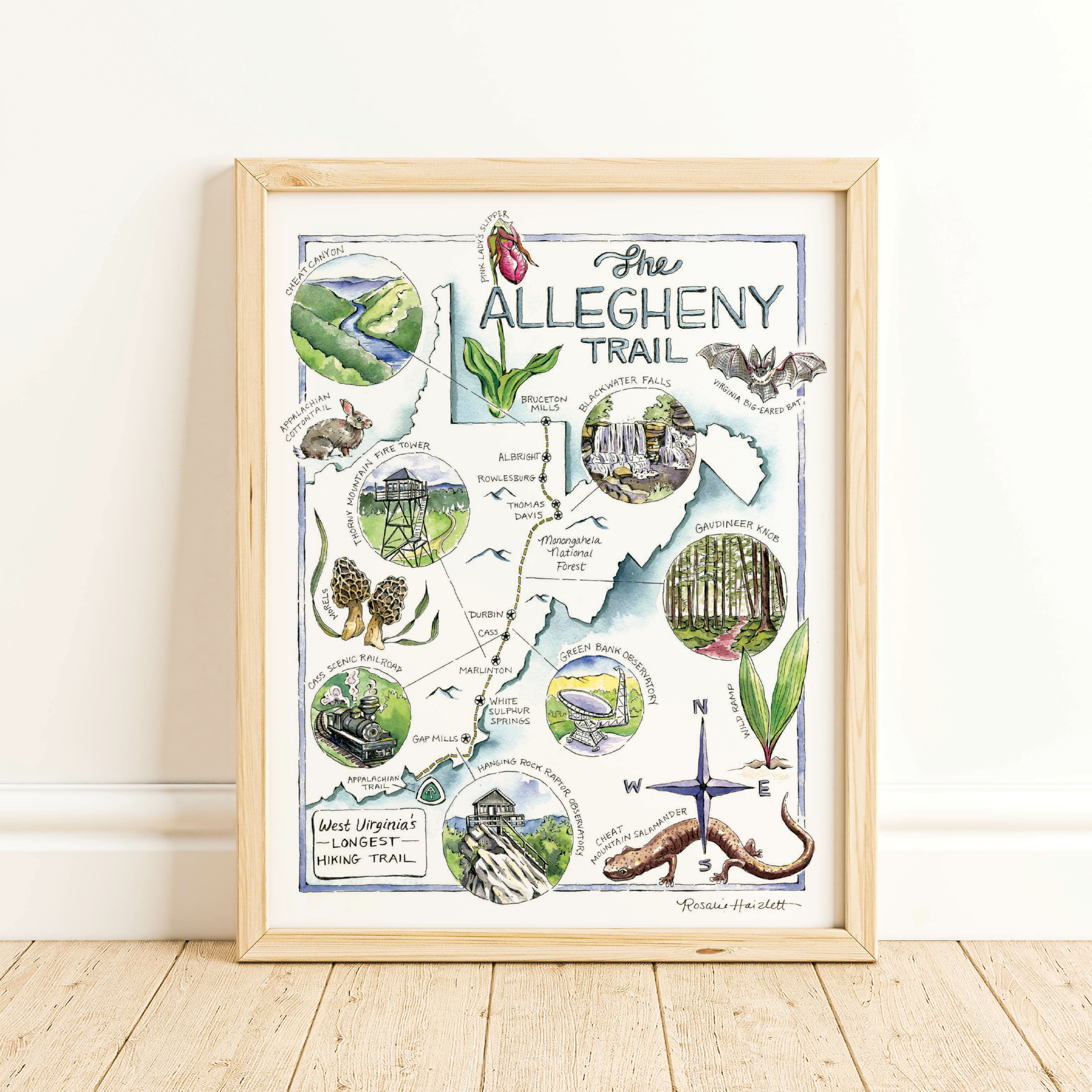 Rosalie Haizlett Illustration - Wholesale Art Print - Allegheny Trail Illustrated Map - Art Print1