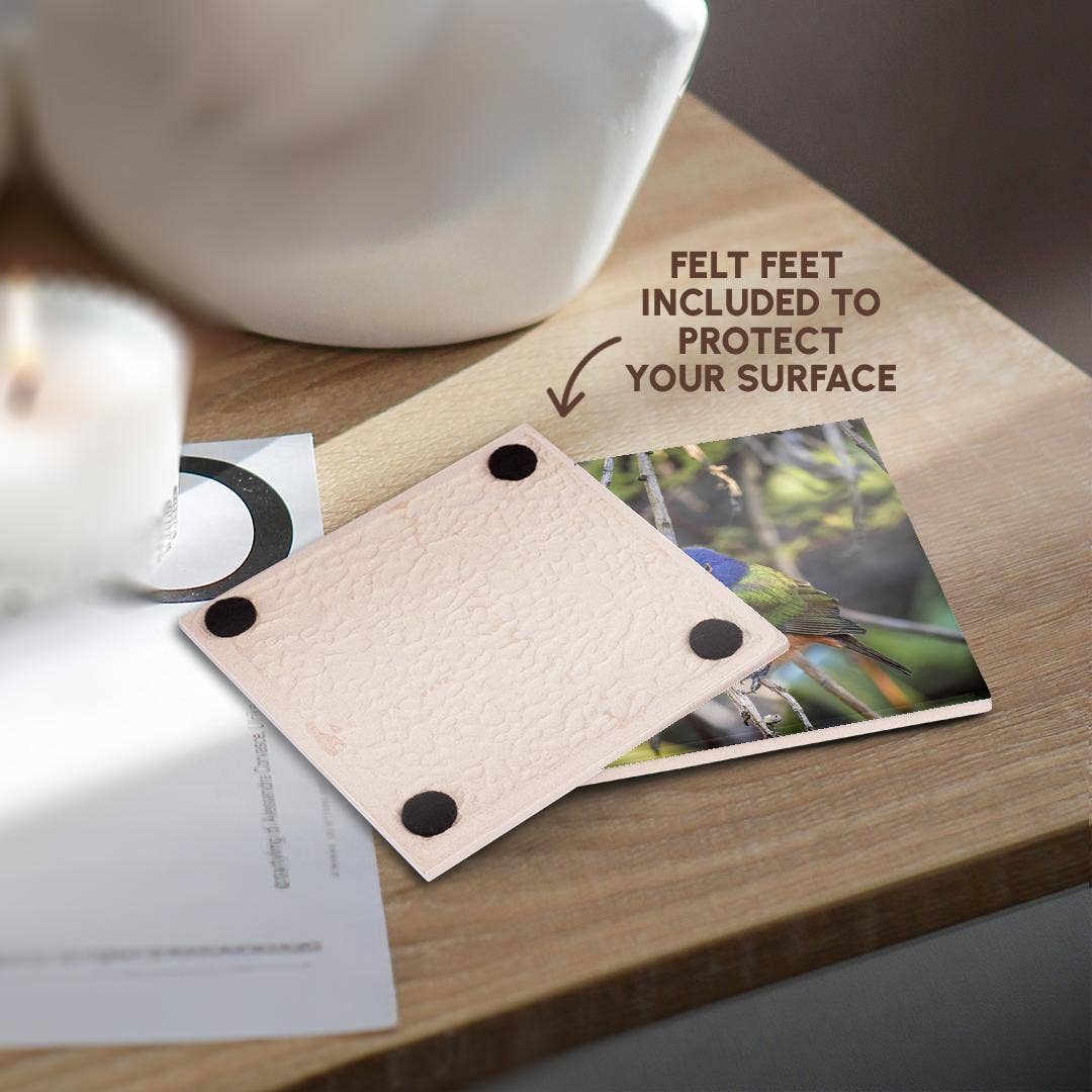 3dRose - Wholesale Coasters - 3dRose, A beautiful male painted bunting., Coaster3