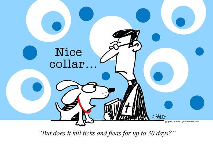 Dejlig krave. (Lykønskningskort eller musemåtte) for engroshandel hos Graham Sale