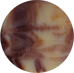 Ecohesens - Venta al por mayor Champús en pastillas/sólidos - Champú sólido orgánico Tortilla Love - 100 g - Noire O Naturel1