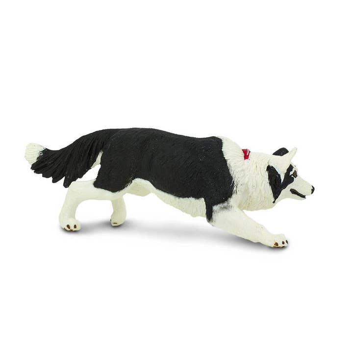 Safari LTD - Canada - Wholesale Figurine Toy - Kids - Border Collie - 2545292