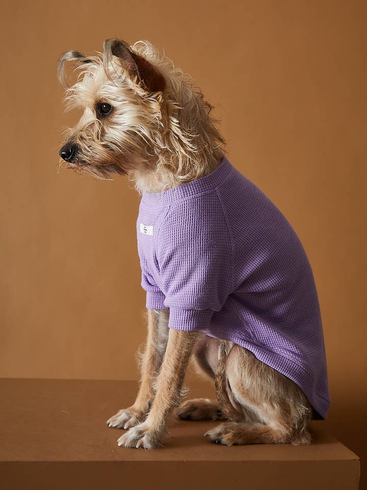 Lilac T-shirt BALZAC for wholesale by The Striped Dog