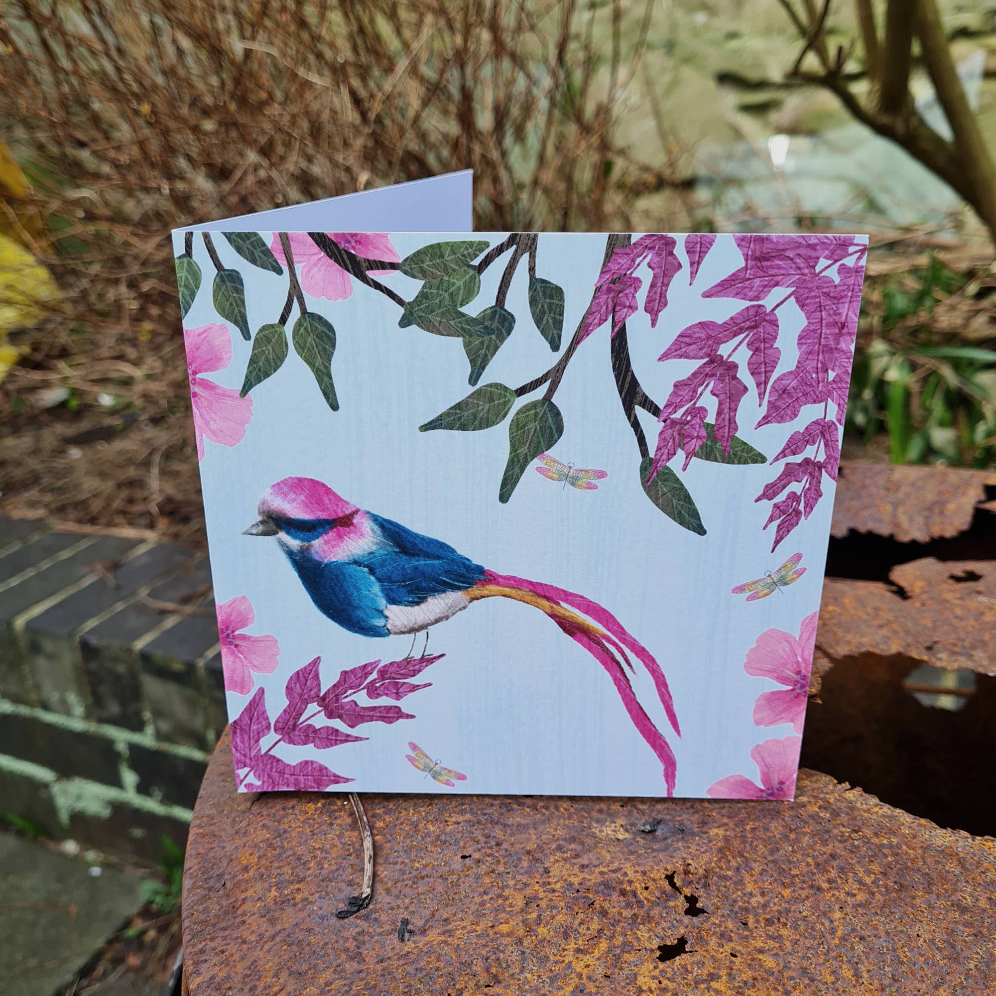 Ilana Ewing Designs - Wholesale Everyday Greeting Card - Colourful Bird Card - Pretty Pink Card1