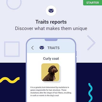 tellmeGen – wholesale Groomingmedel för husdjur – Hund – DNA-test för hundar Starter