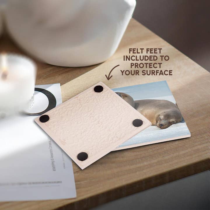 3dRose - Wholesale Coasters - 3dRose, These sea lions cuddle at Gardner Bay, Espanola Island., Coaster3