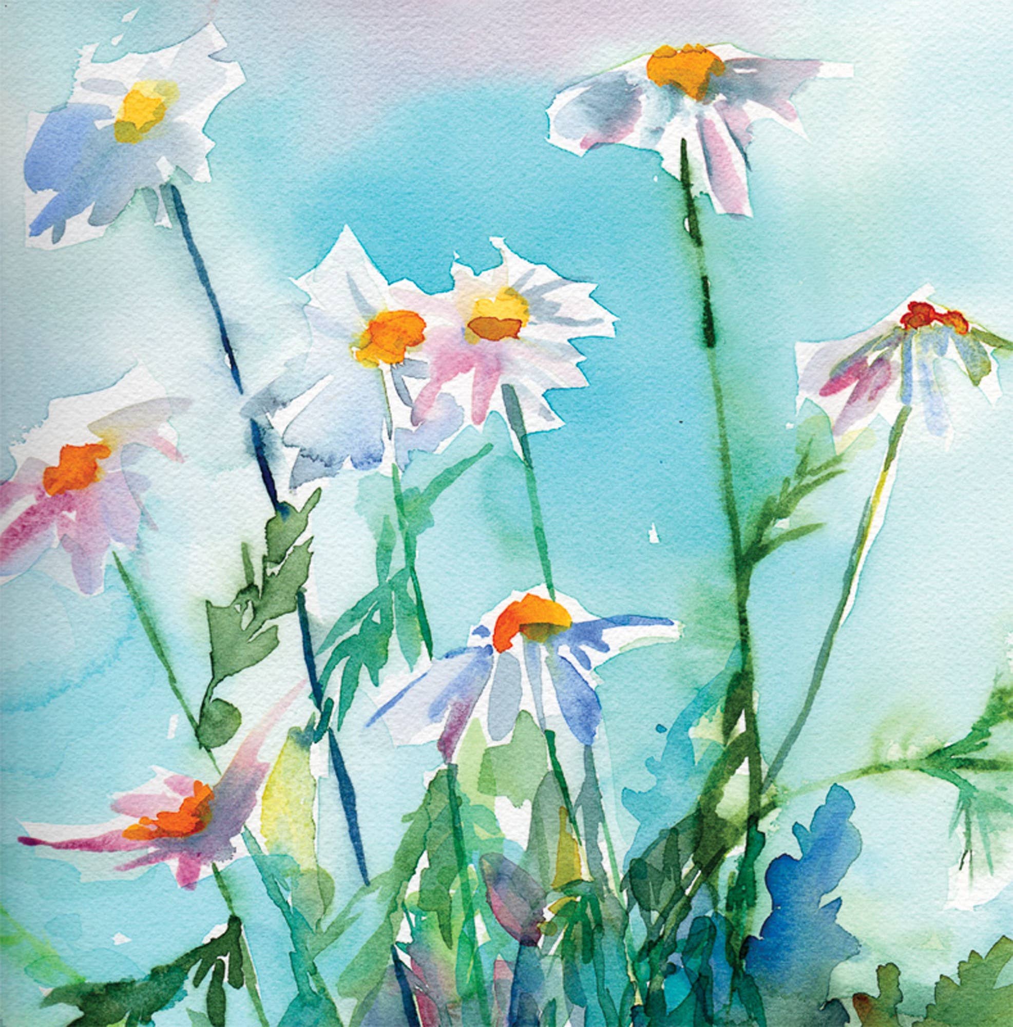 Diana Fegredo Studio - Wholesale Everyday Greeting Card - Daisy Daisy Greetings Card1