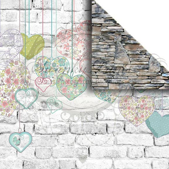 NOUVEAUTÉ/Toile de fond réversible en vinyle de 5 pi x 15,2 m pour la vente par Swanky Prints