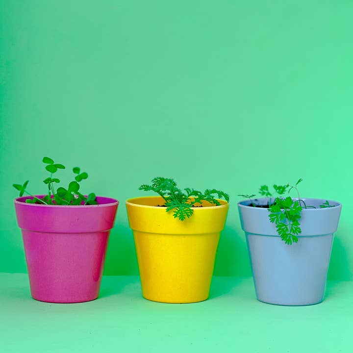 Seedball - Wholesale Plant Seeds - Mini Seedball Tins Christmas Bees4