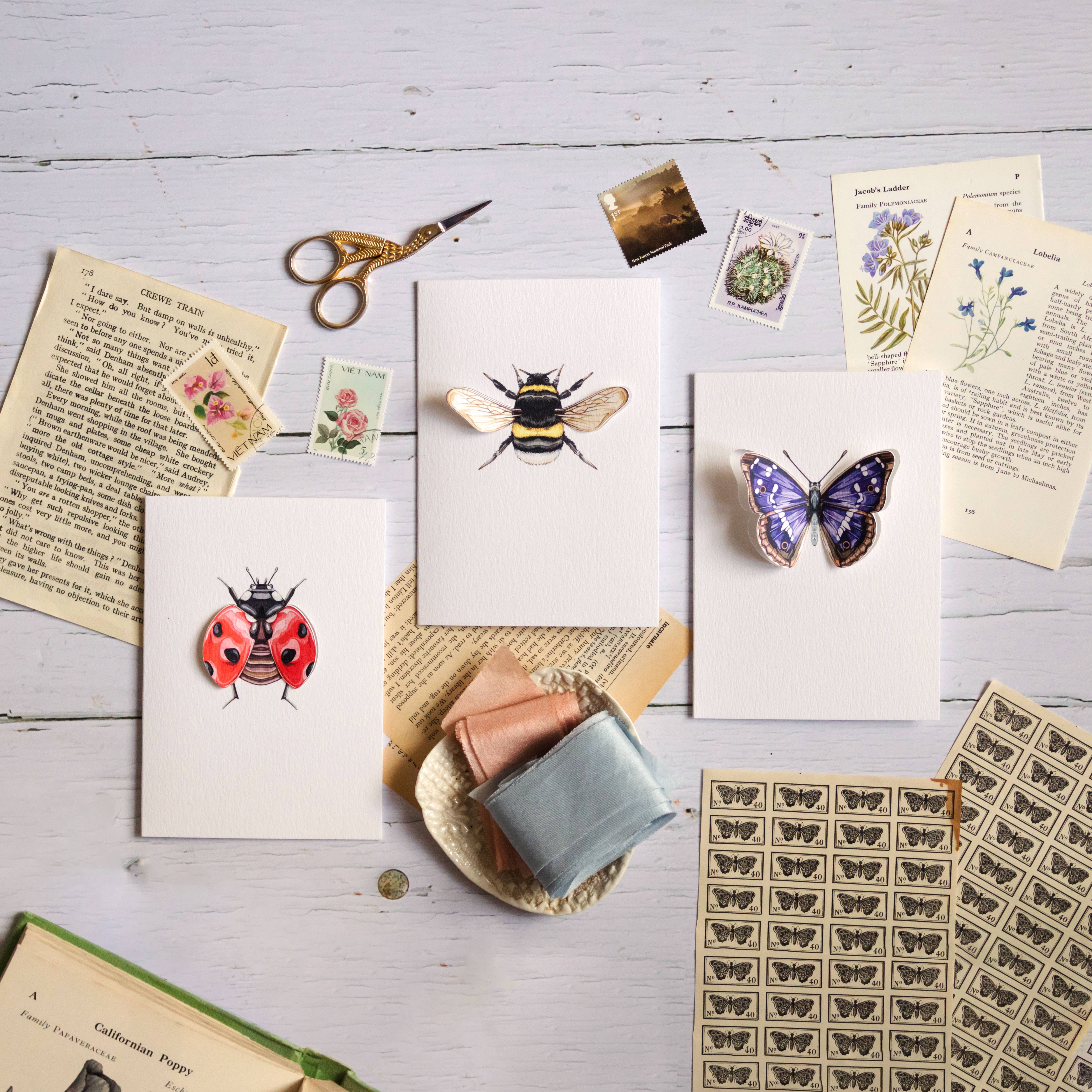 Sophie Brabbins - Wholesale Everyday Greeting Card - Ladybird Pop Out Watercolour Greetings Card2