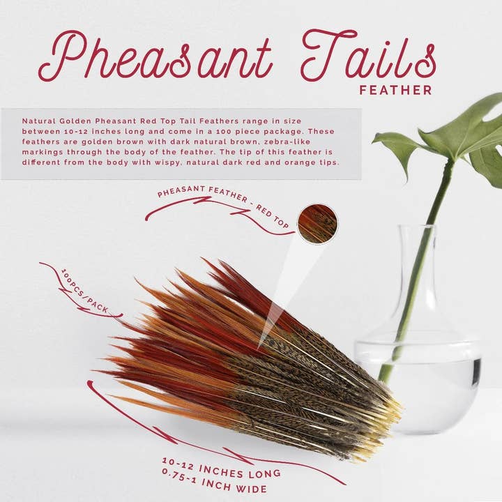 Zucker Feather Products – wholesale Hantverkstillbehör – 10 PC/PKG Gyllene fasanröda toppsvansar 10-12" - Naturlig5