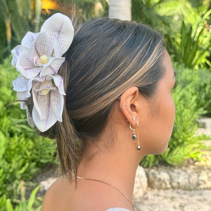 Lily viola maculata per la vendita all'ingrosso da parte di Phases Hawaii