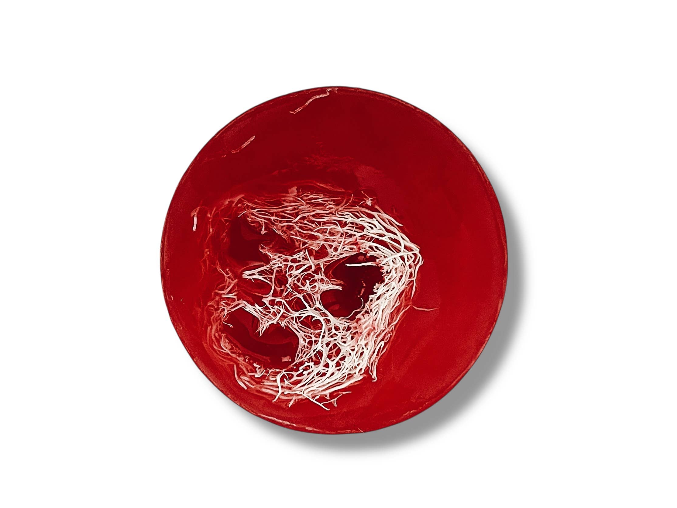 Modern Skyn Alchemy LLC. - Wholesale Bar Soap - Handcrafted Loofah Soaps - Watermelon