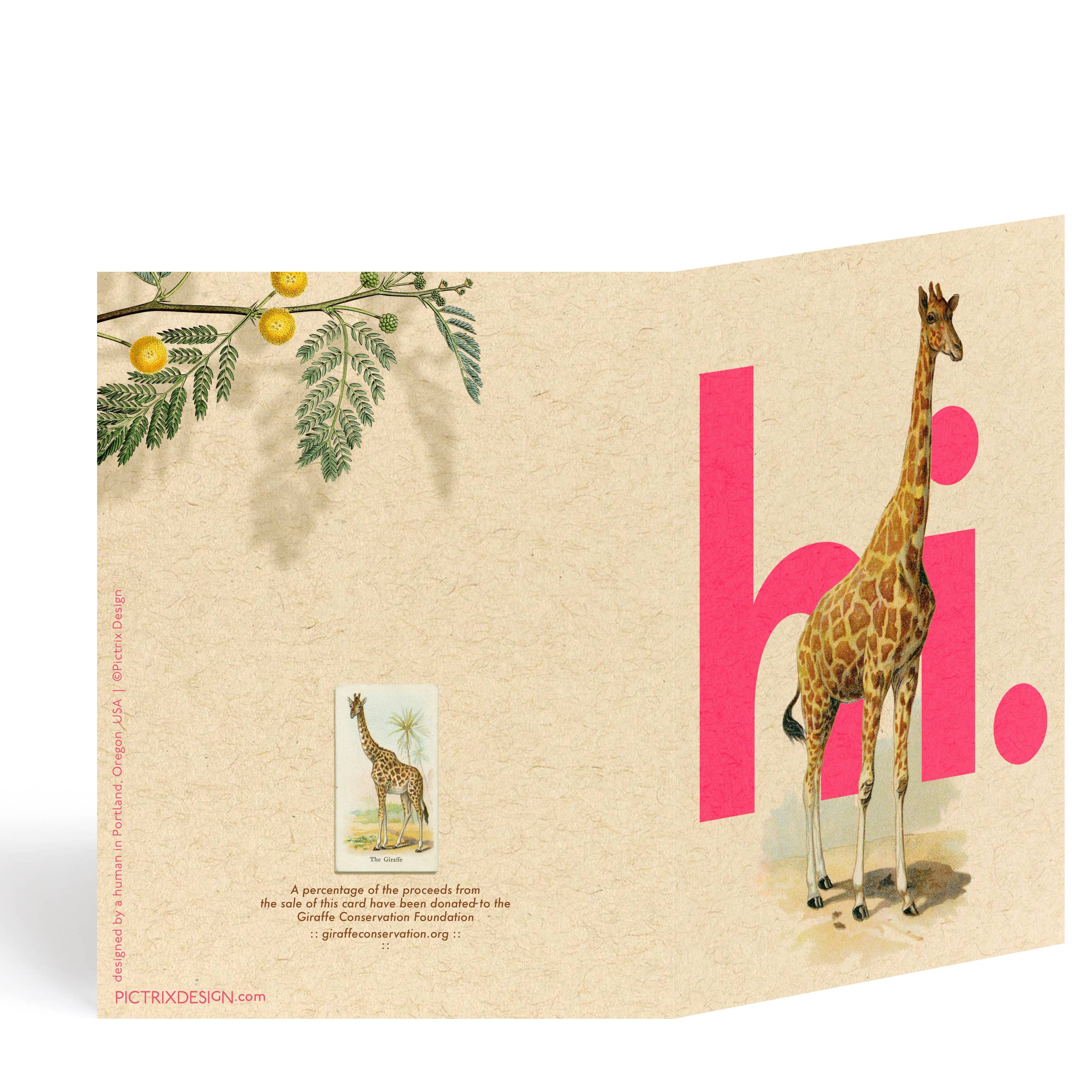 Pictrix Design - Wholesale Everyday Greeting Card - “Hi. (giraffe)" A2 greeting card2