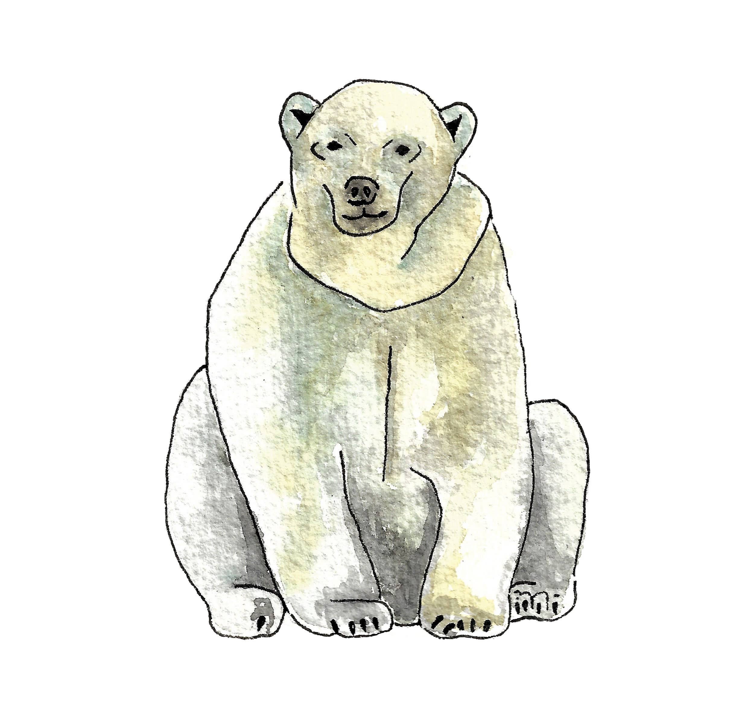 feather.ink – Engroshandel Kunsttryk – Isbjørn håndlavet akvarel maleri print0