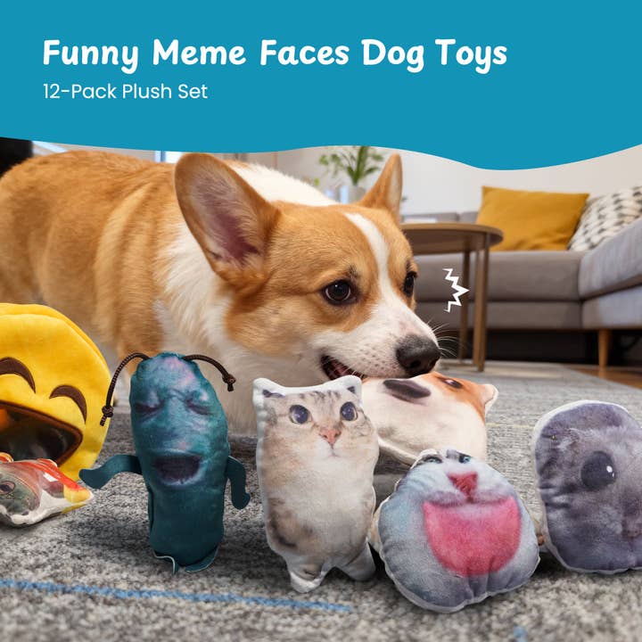 Nocciola - Wholesale Pet squeaky toy – Dog - 12 Pack Animal Memes Plush Squeaky Dog Toys5